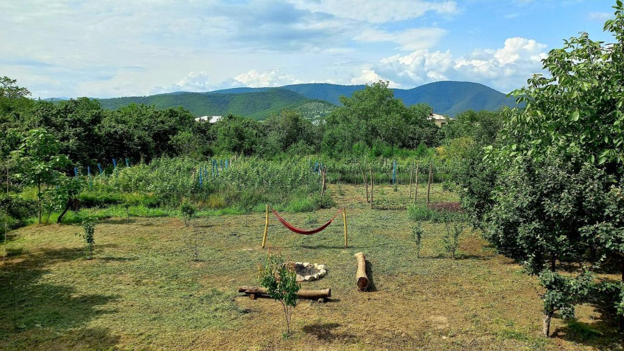 Veli Guest House • Საოჯახო Სასტუმრო Ველი Zemo Alvani Bagian luar foto